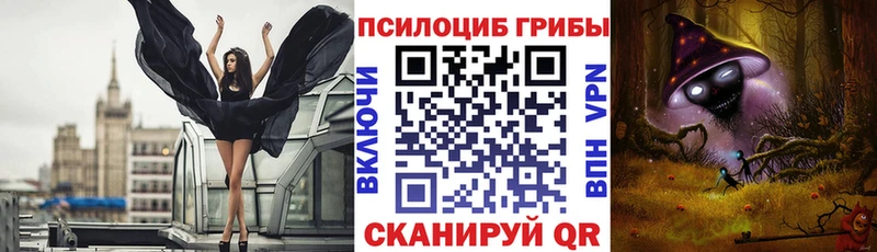 Галлюциногенные грибы Cubensis  что такое наркотик  Новоаннинский 